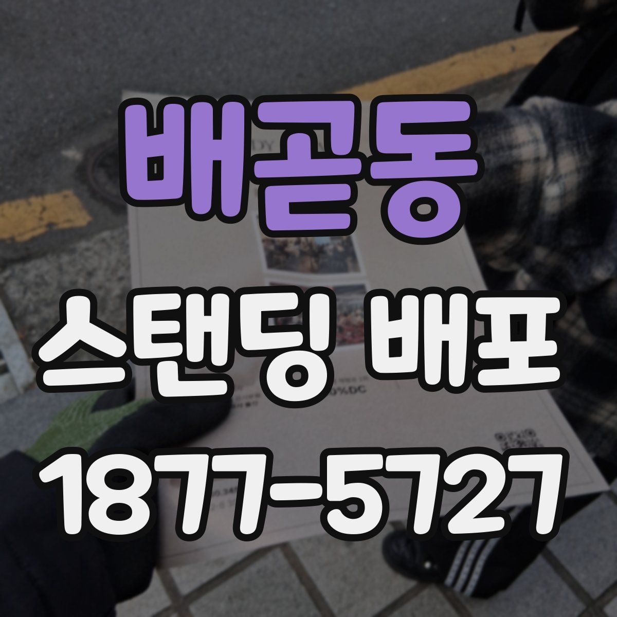 배곧동 스탠딩 배포