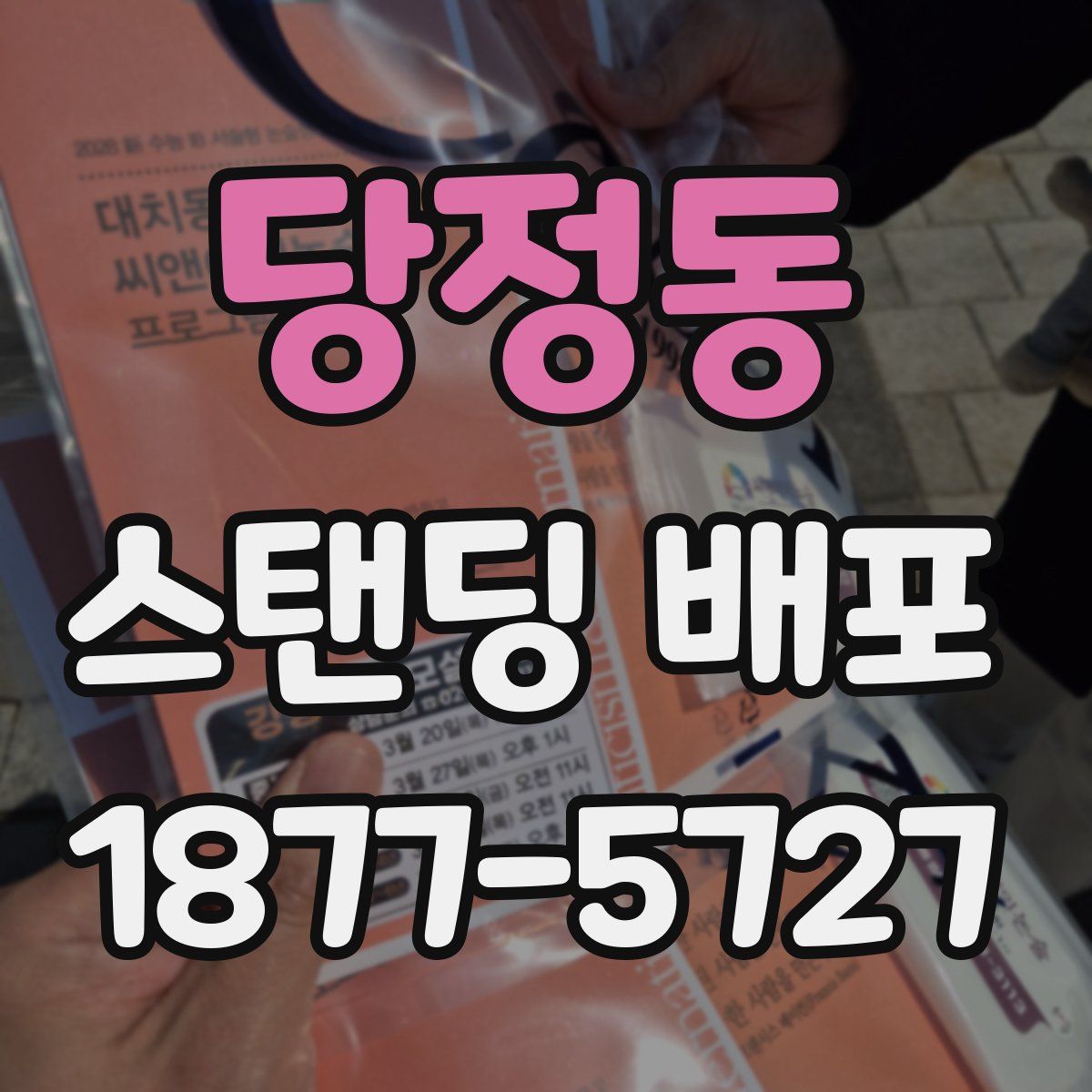 당정동 스탠딩 배포