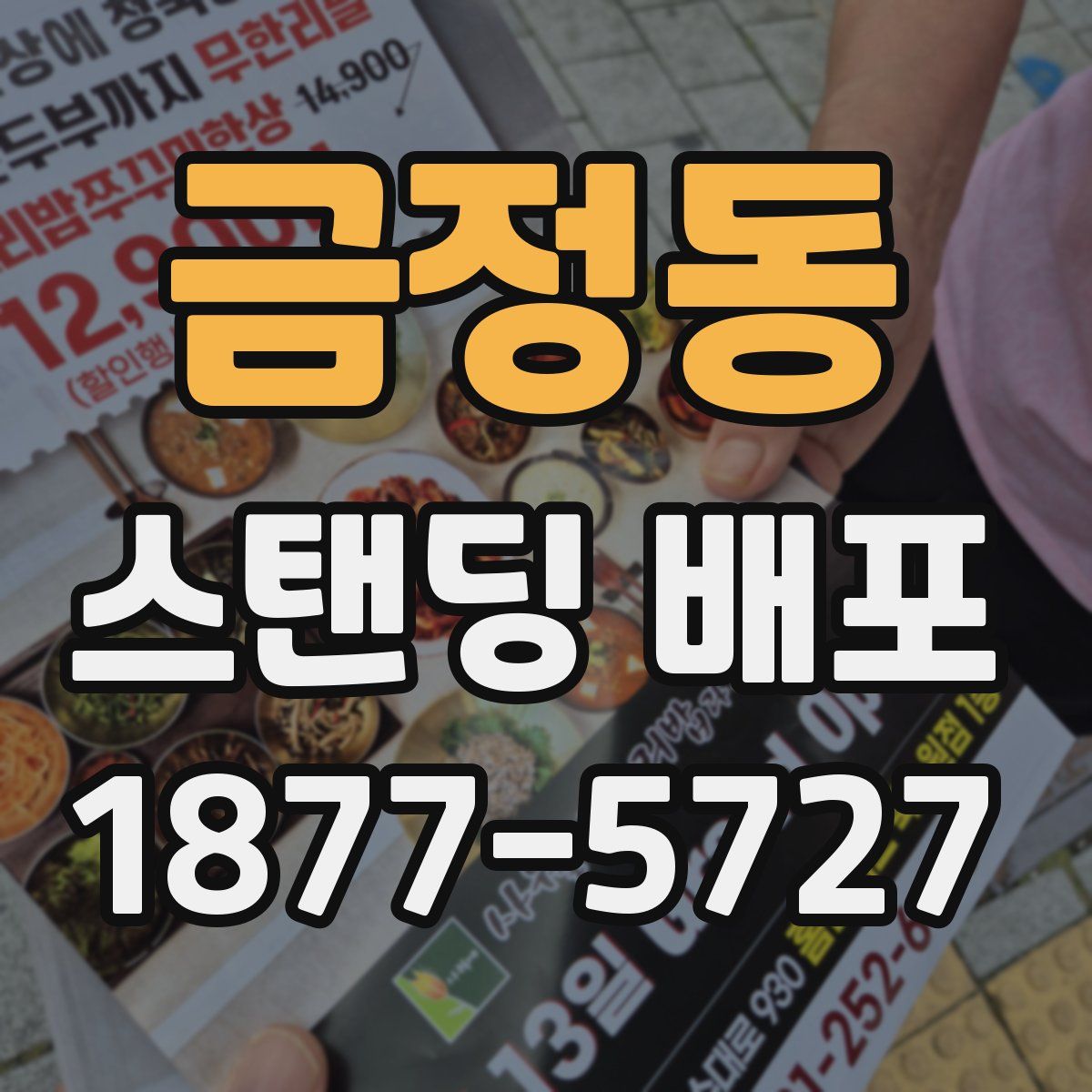 금정동 스탠딩 배포
