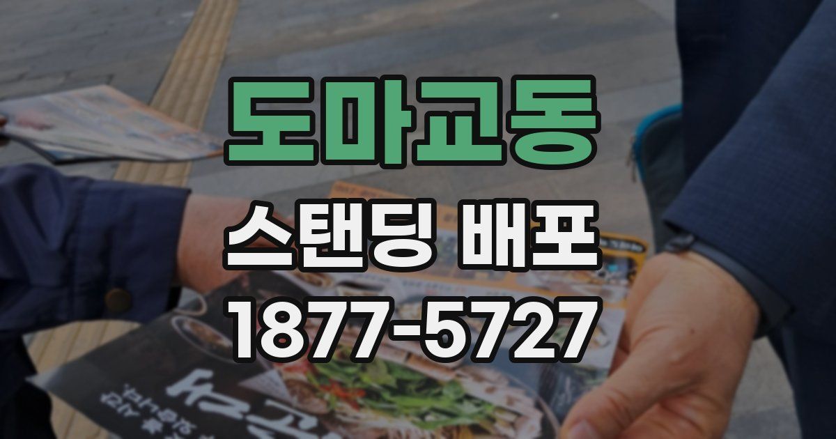 도마교동 스탠딩 배포