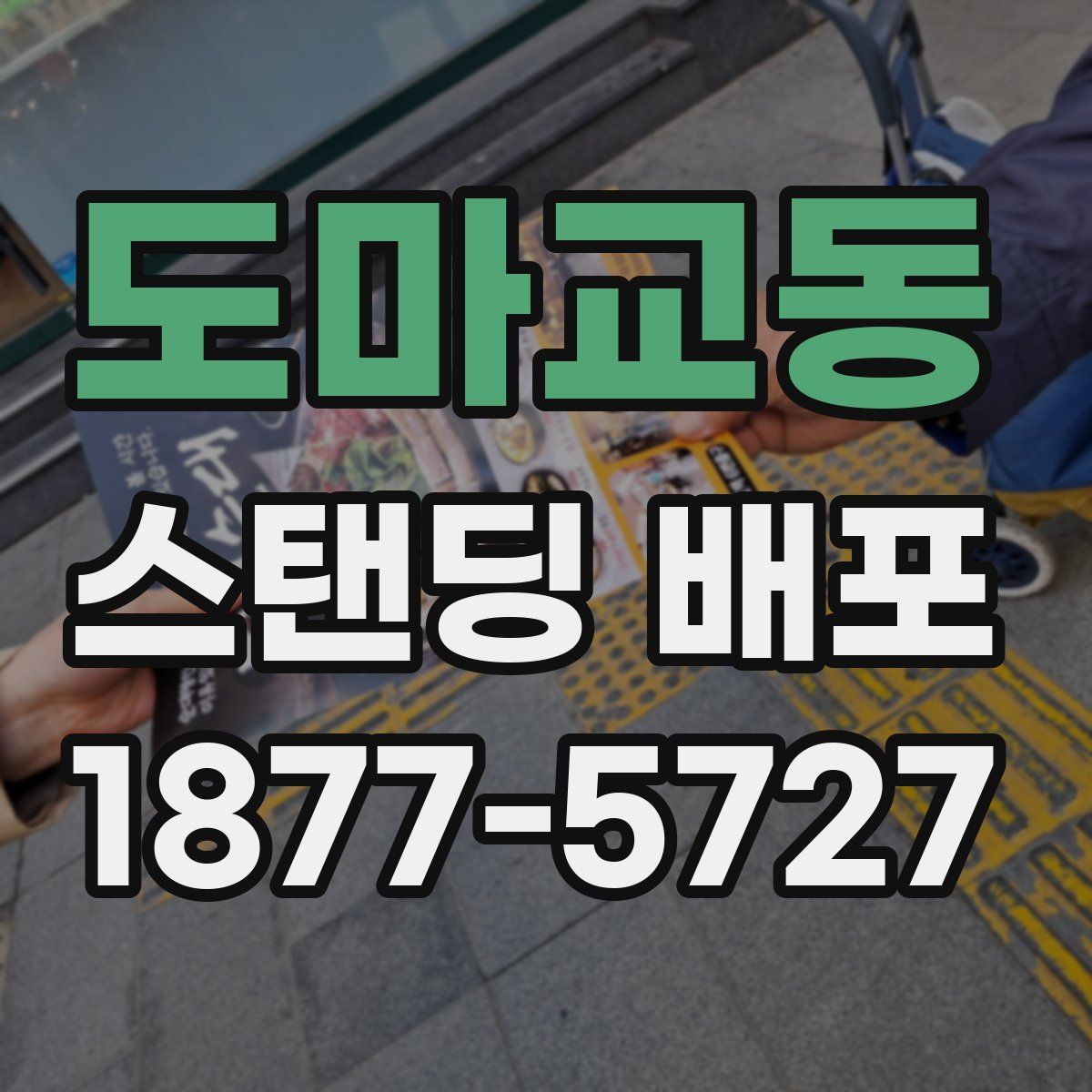 도마교동 스탠딩 배포