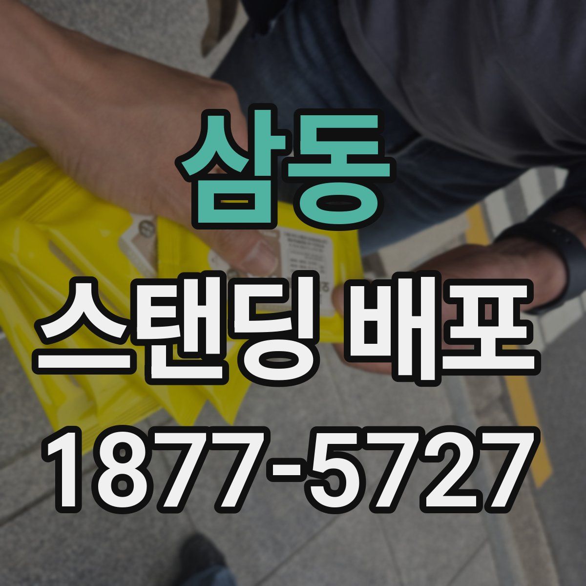 삼동 스탠딩 배포