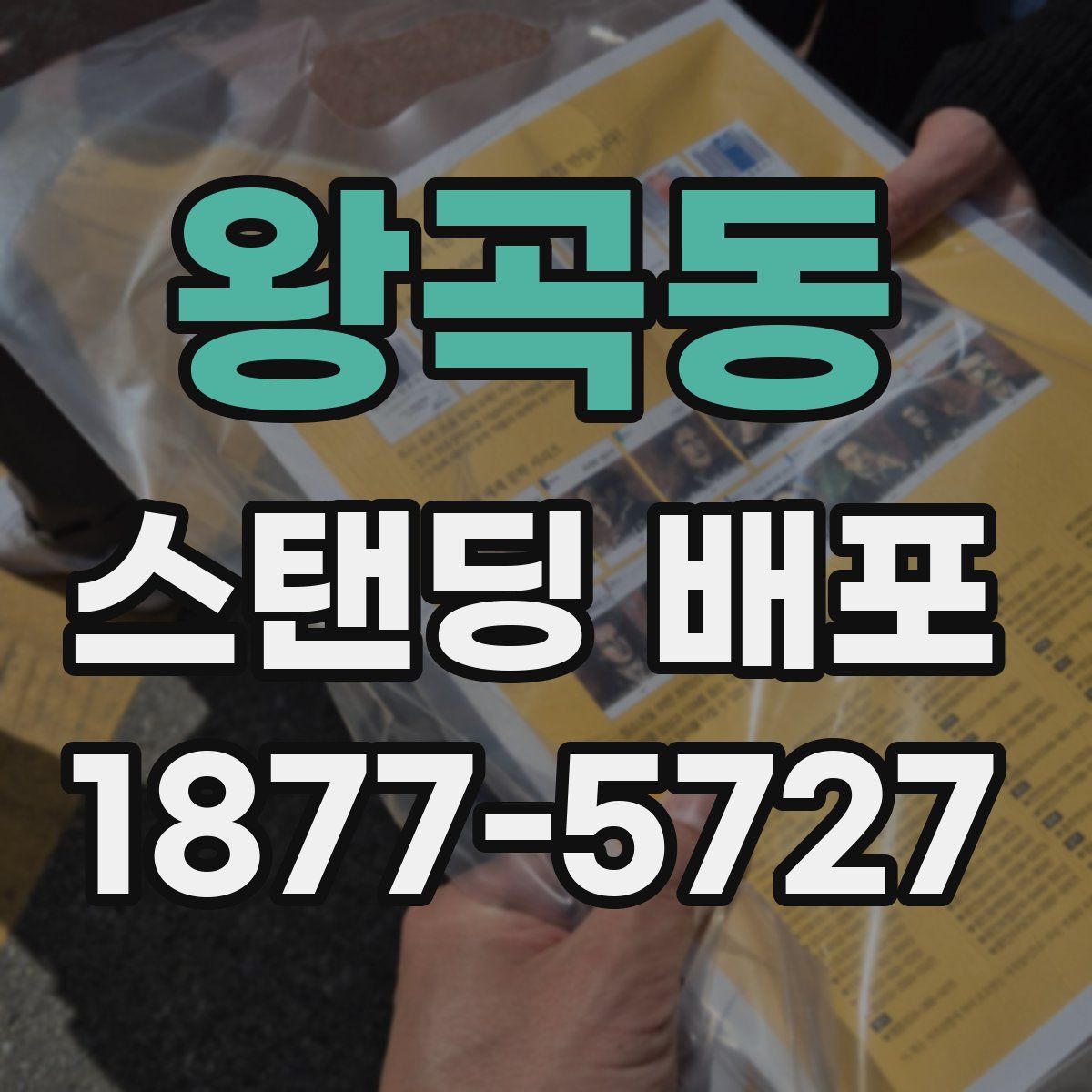 왕곡동 스탠딩 배포