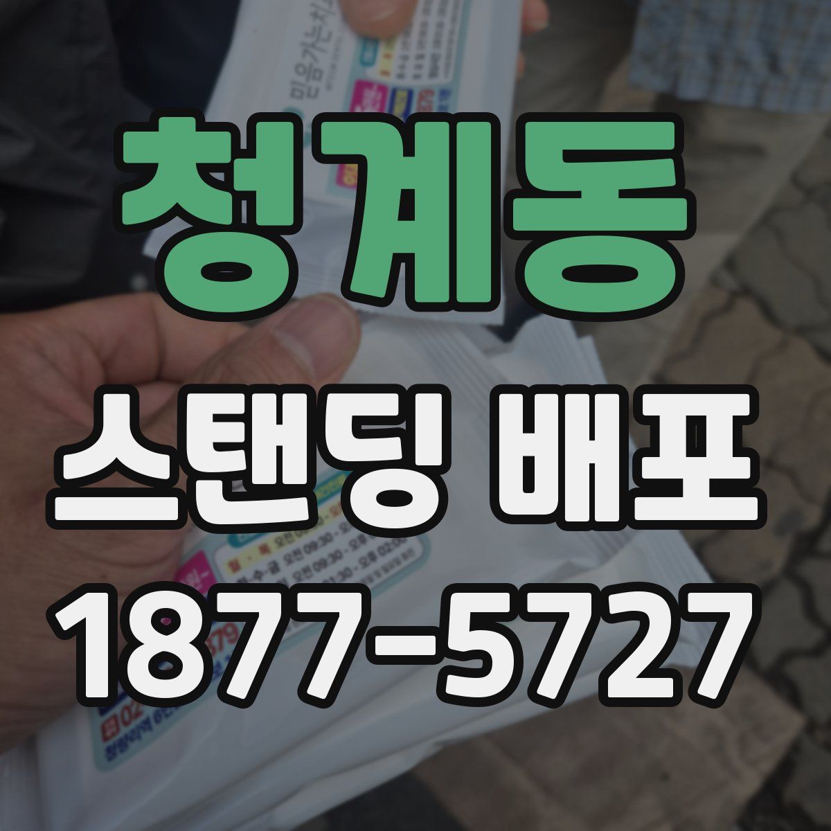 청계동 스탠딩 배포