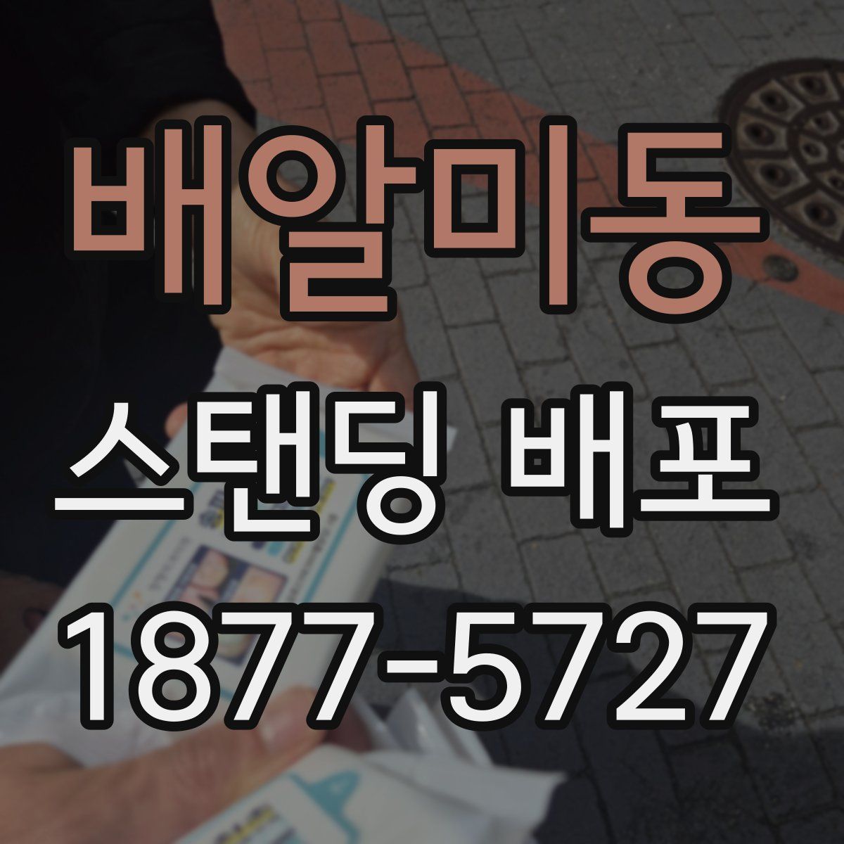 배알미동 스탠딩 배포