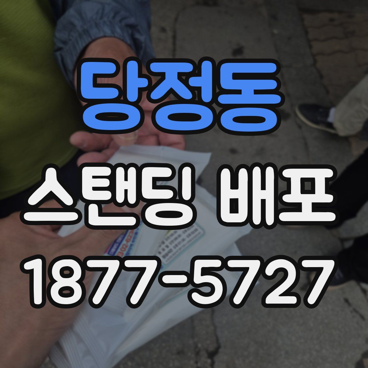 당정동 스탠딩 배포