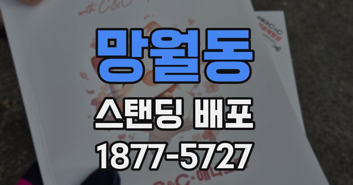 망월동 스탠딩 배포