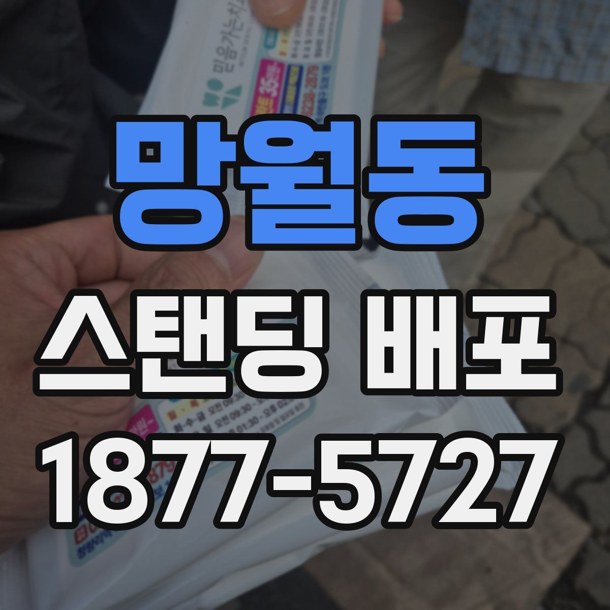 망월동 스탠딩 배포