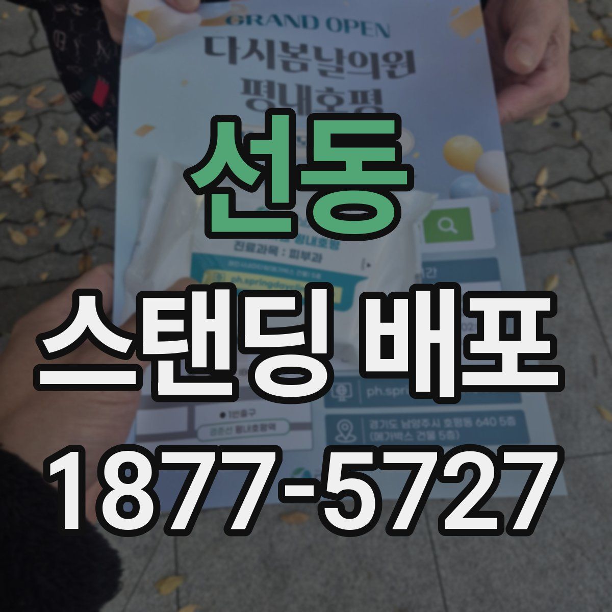 선동 스탠딩 배포