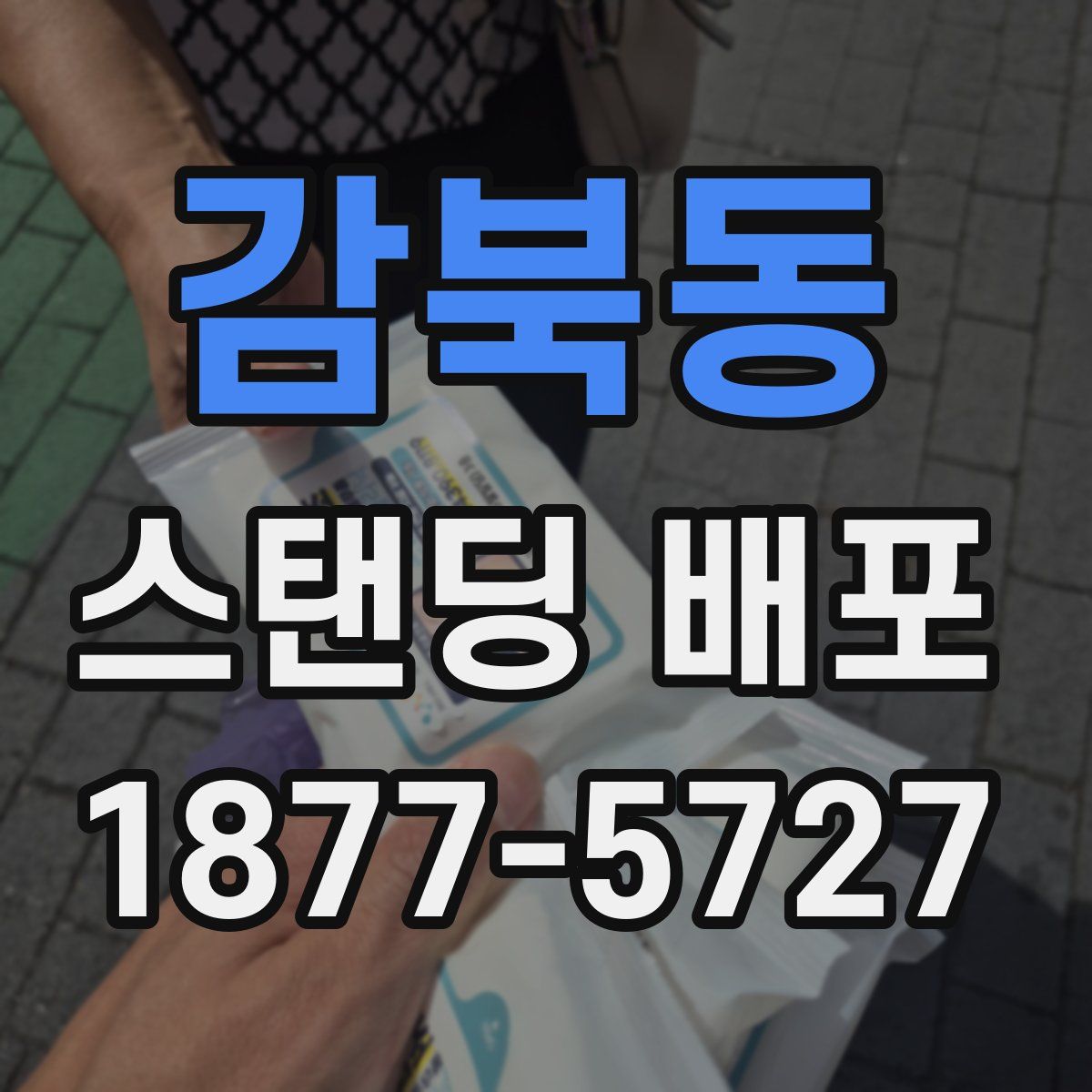 감북동 스탠딩 배포