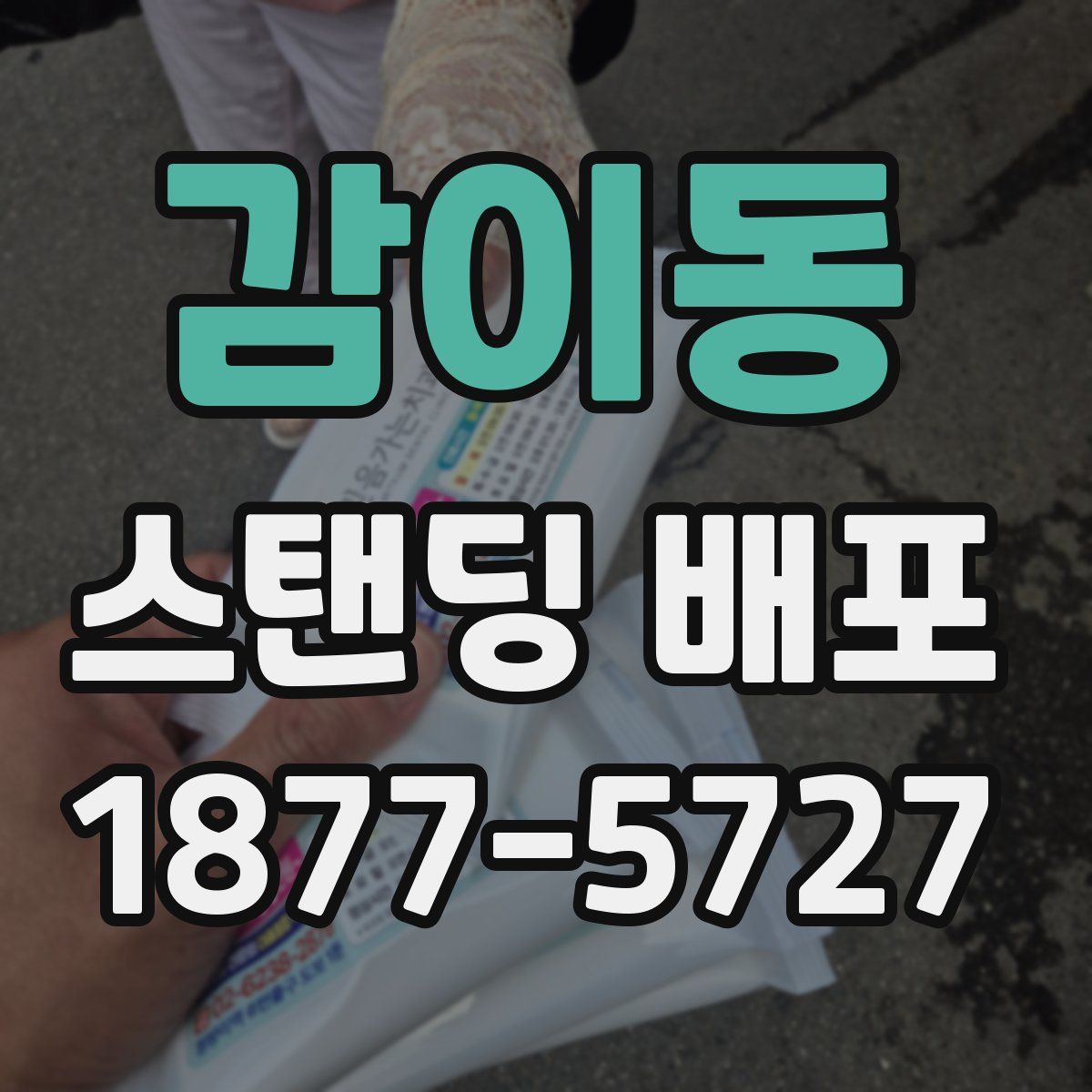 감이동 스탠딩 배포