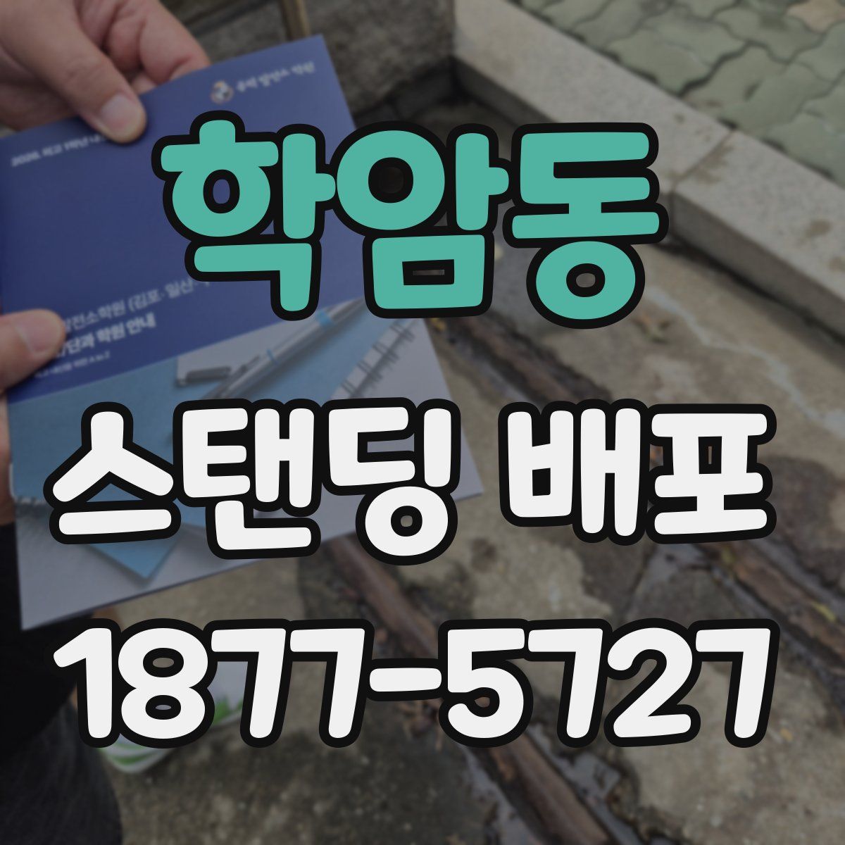 학암동 스탠딩 배포