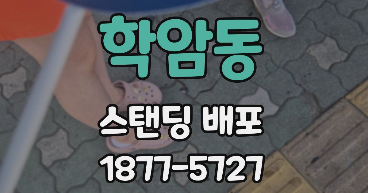 학암동 스탠딩 배포