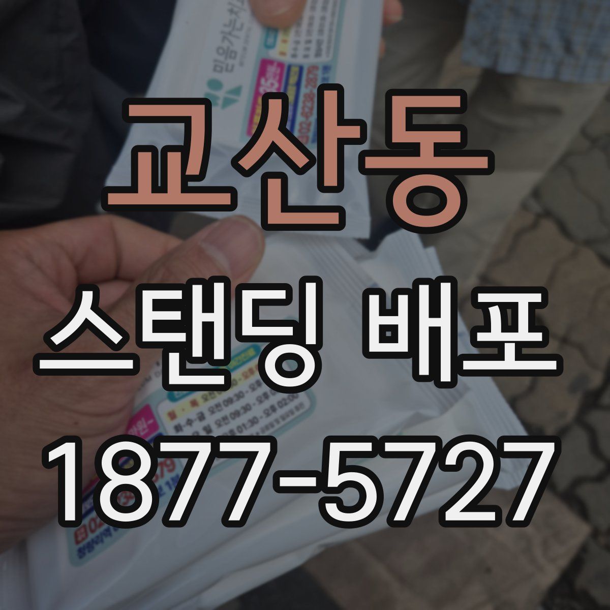 교산동 스탠딩 배포