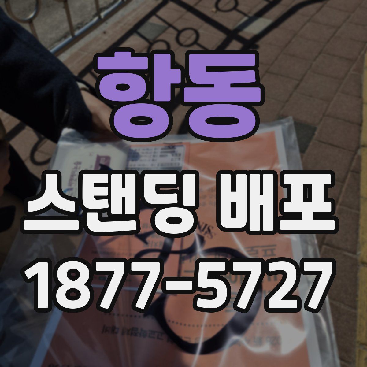 항동 스탠딩 배포