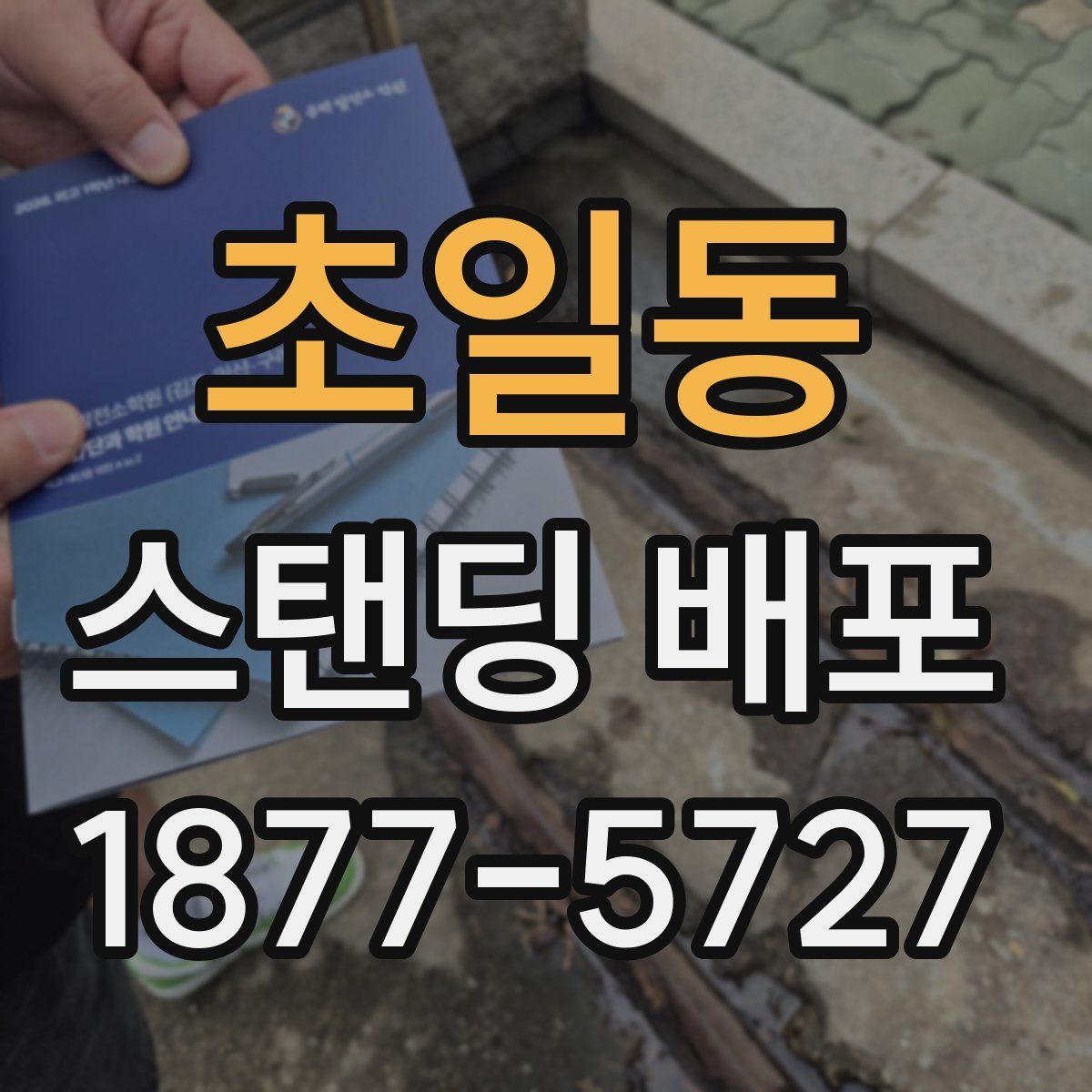초일동 스탠딩 배포