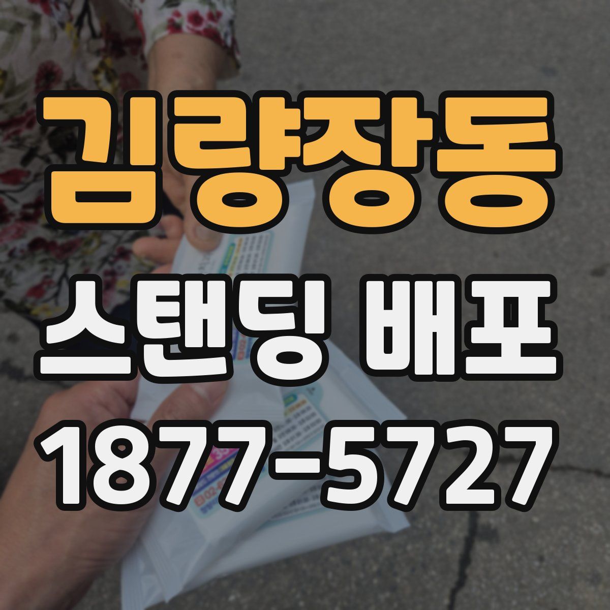 김량장동 스탠딩 배포