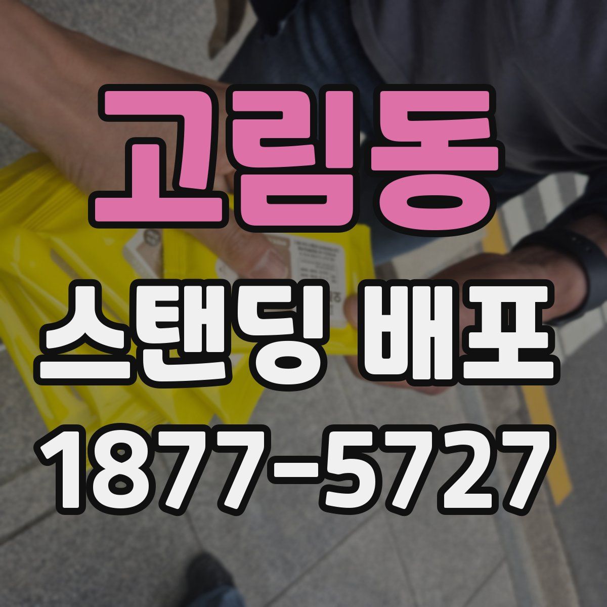고림동 스탠딩 배포