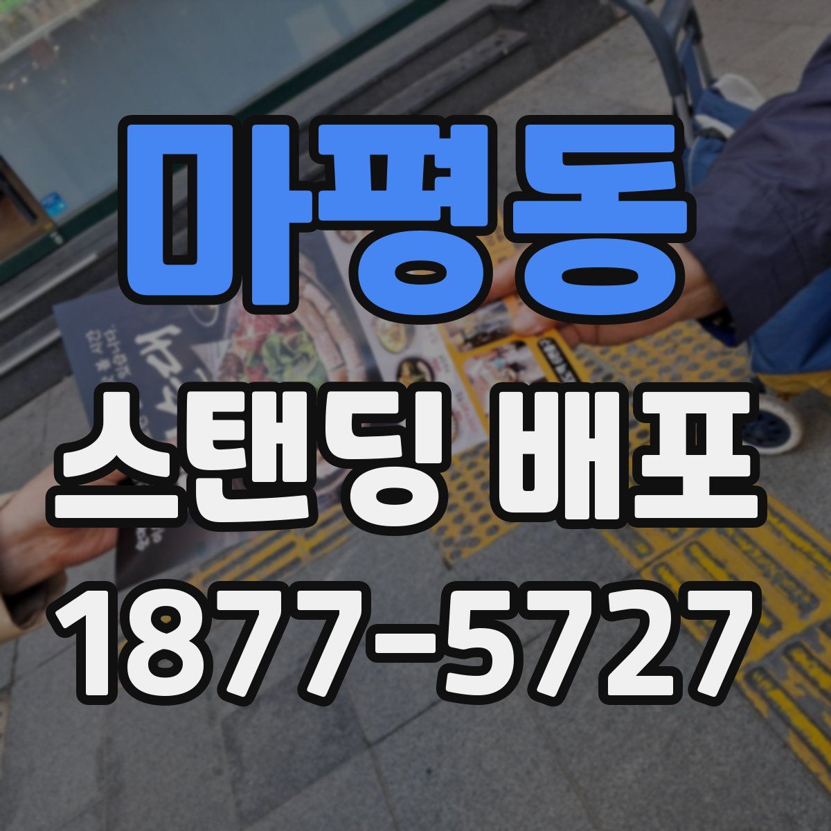 마평동 스탠딩 배포