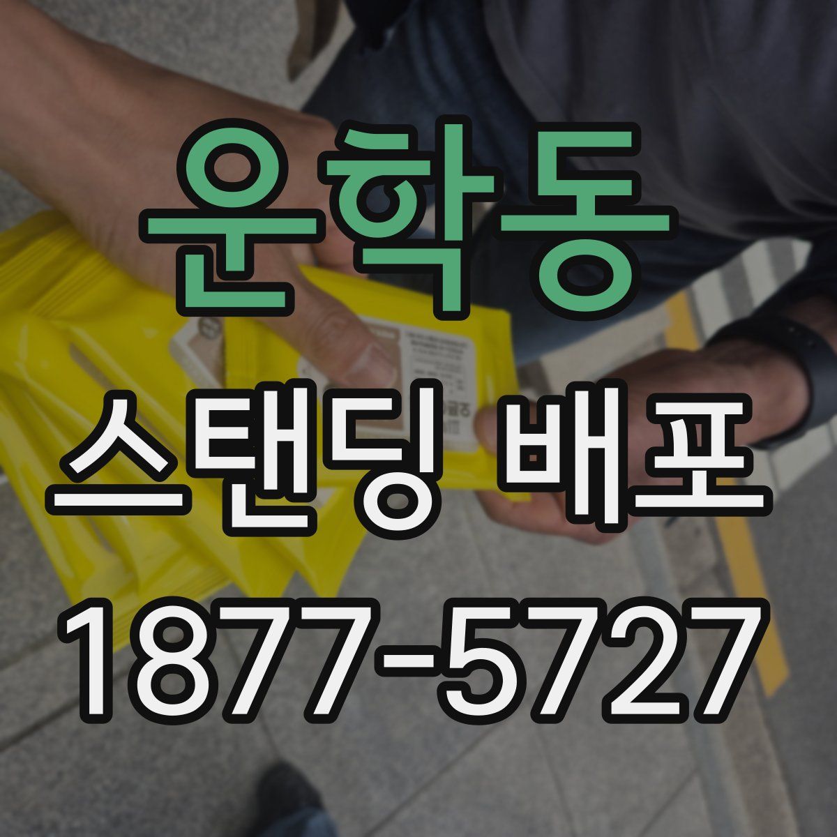 운학동 스탠딩 배포