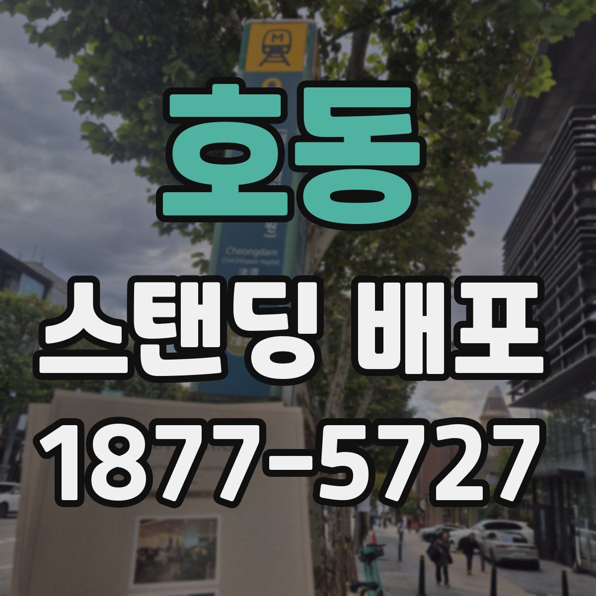 호동 스탠딩 배포