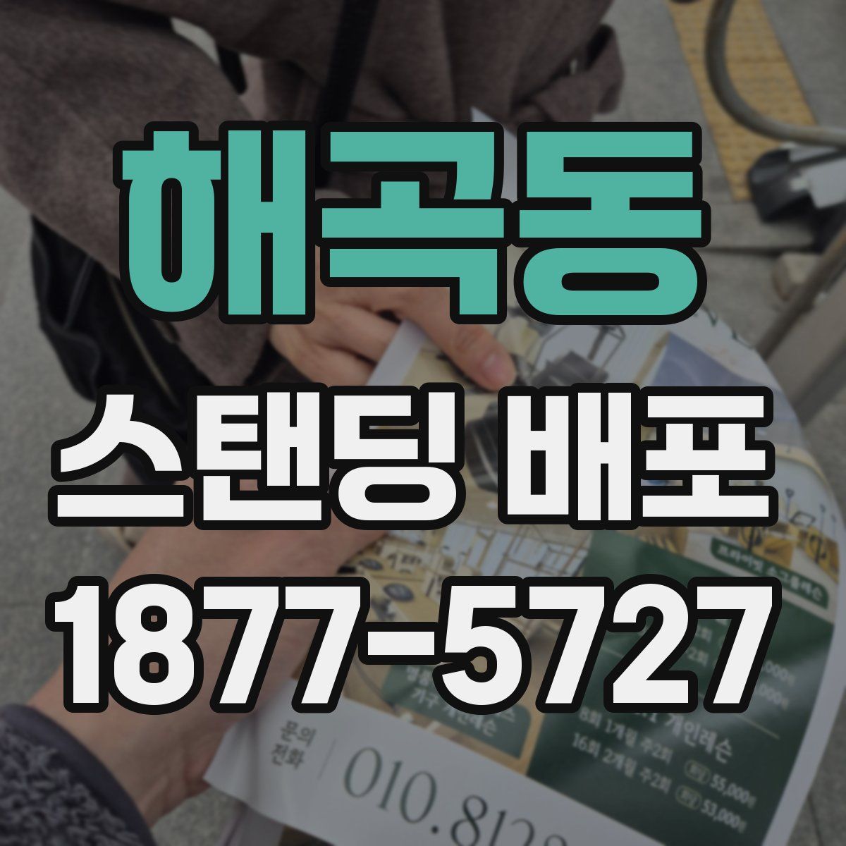 해곡동 스탠딩 배포