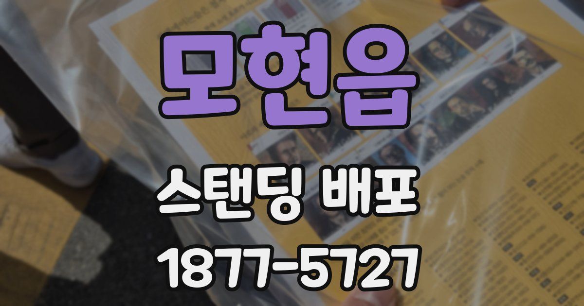 모현읍 스탠딩 배포