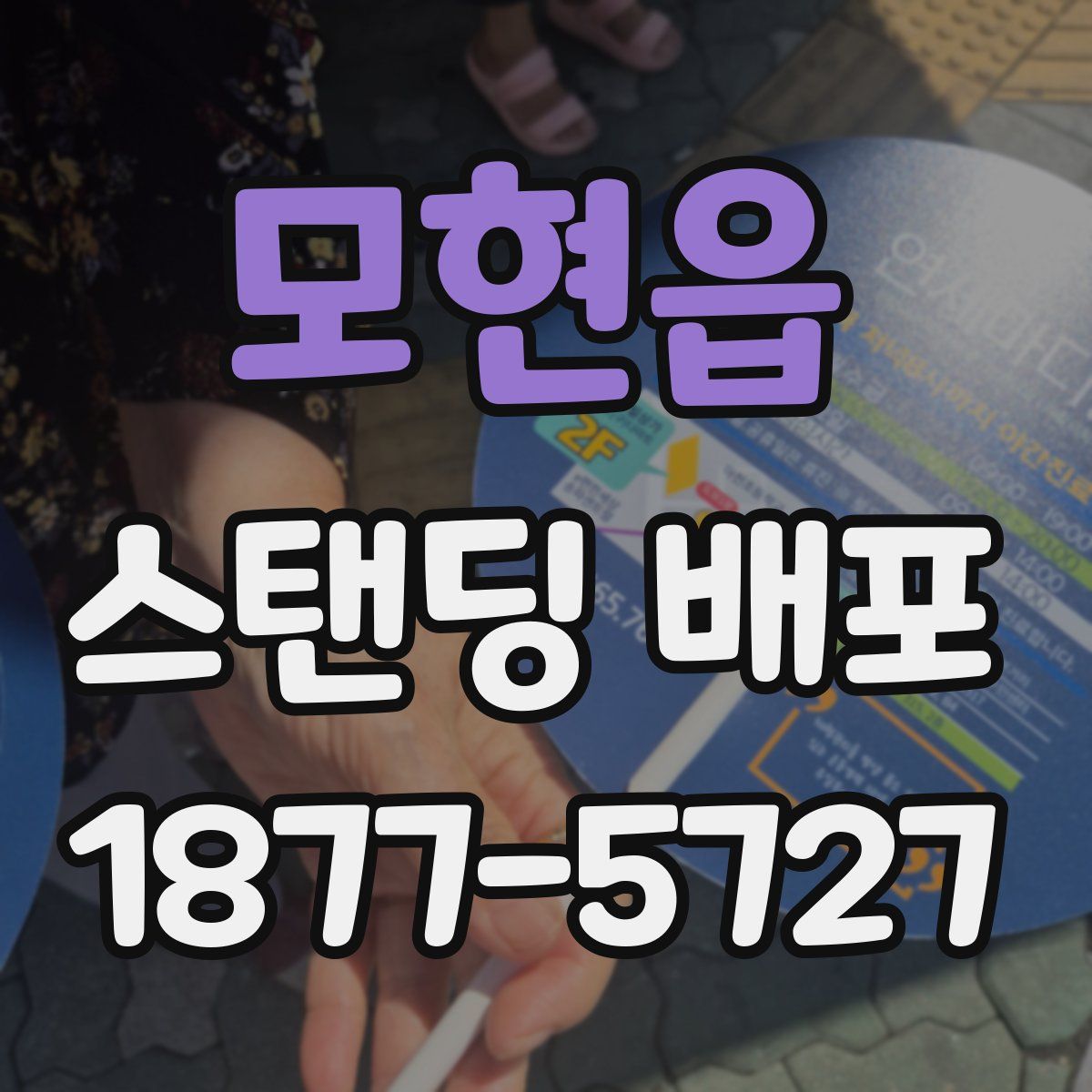 모현읍 스탠딩 배포