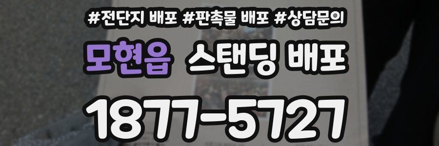모현읍 스탠딩 배포