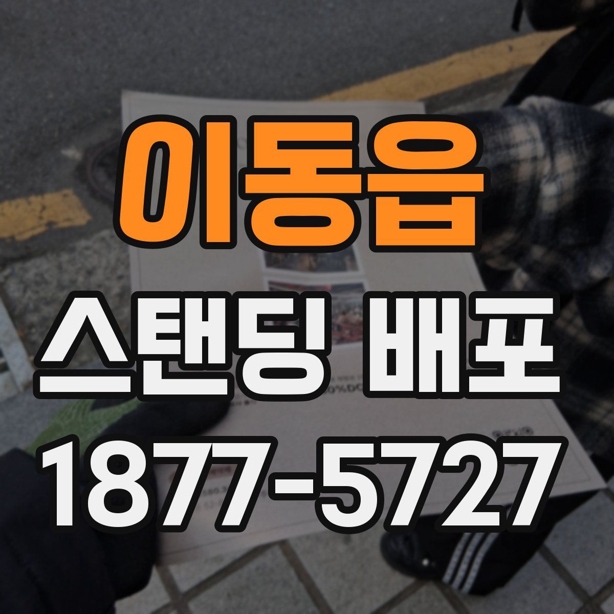 이동읍 스탠딩 배포