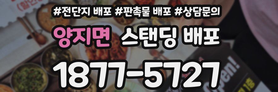 양지면 스탠딩 배포