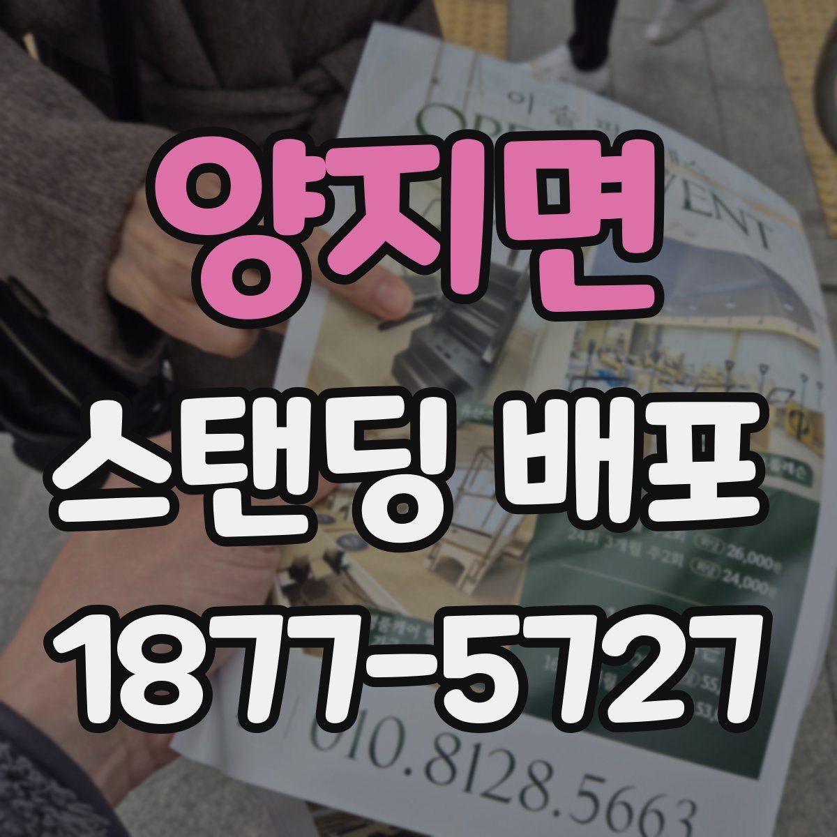 양지면 스탠딩 배포