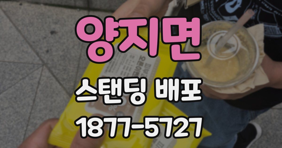양지면 스탠딩 배포