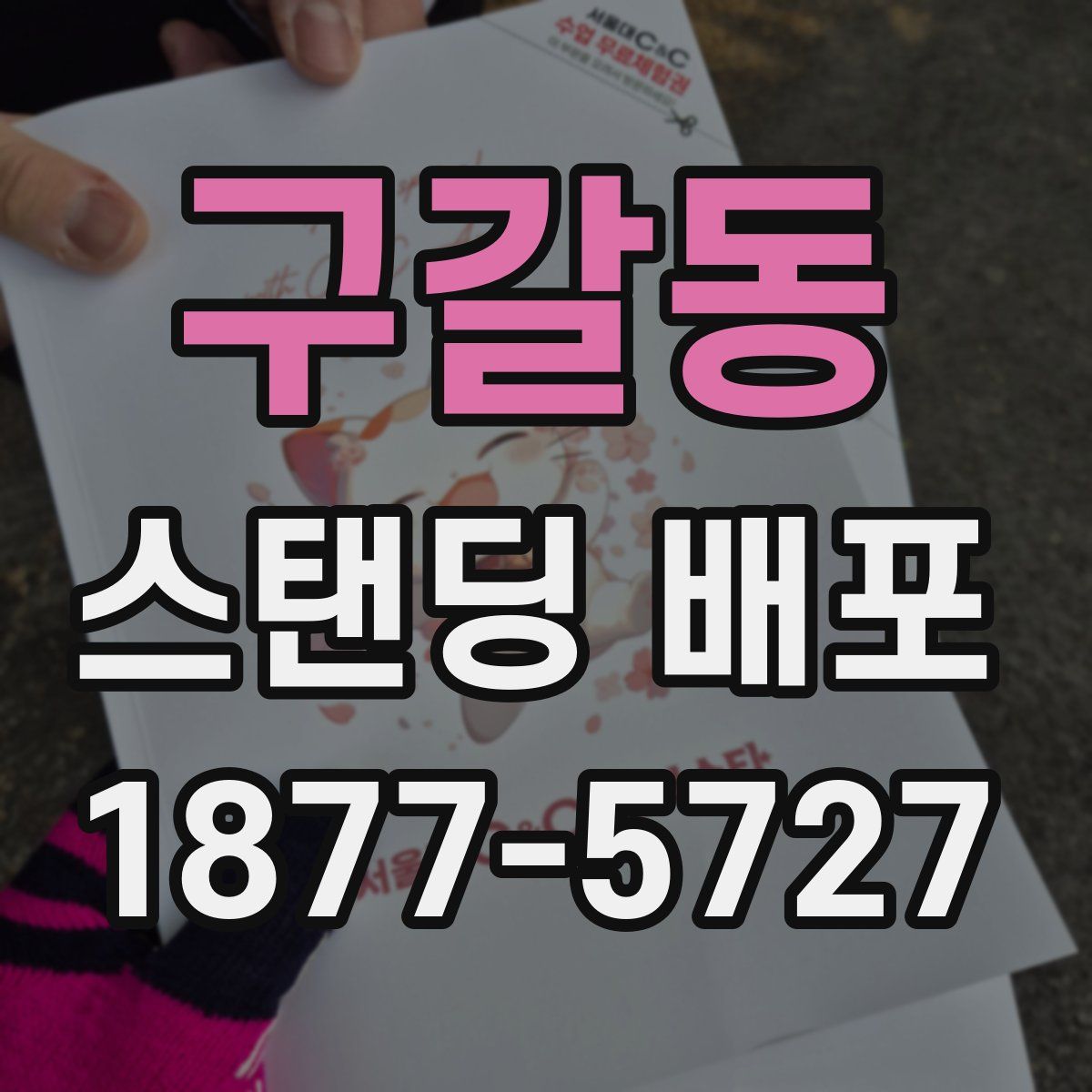 구갈동 스탠딩 배포