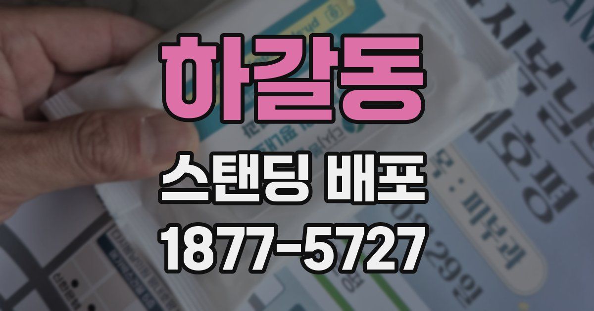 하갈동 스탠딩 배포