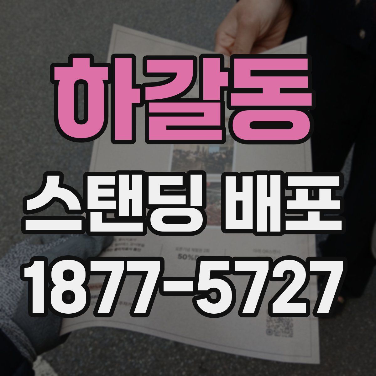 하갈동 스탠딩 배포