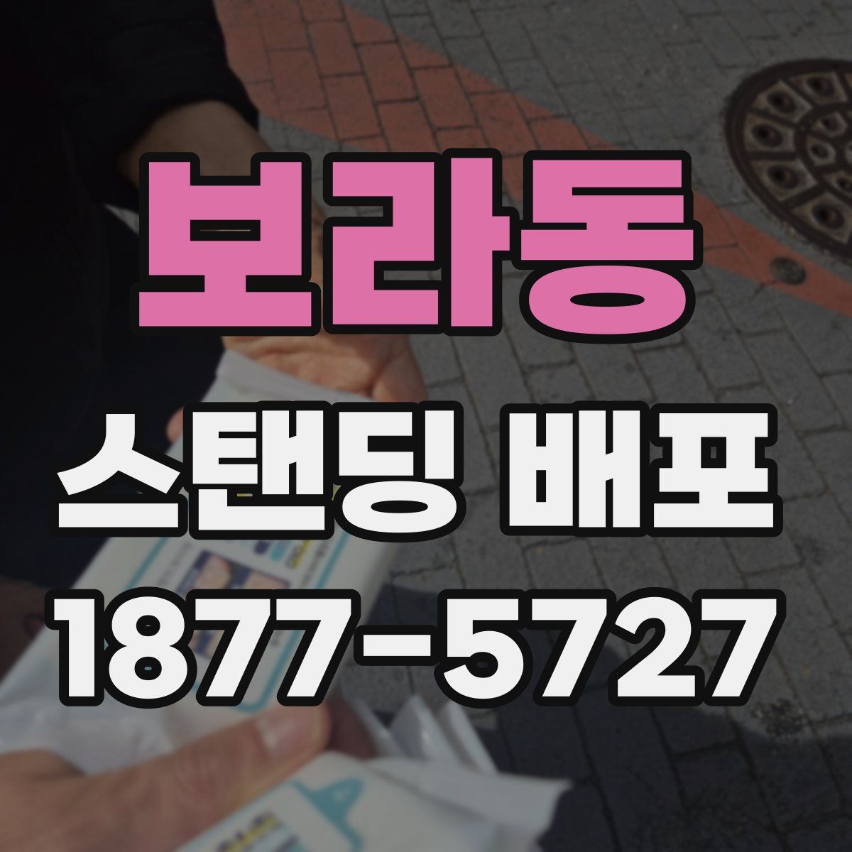 보라동 스탠딩 배포