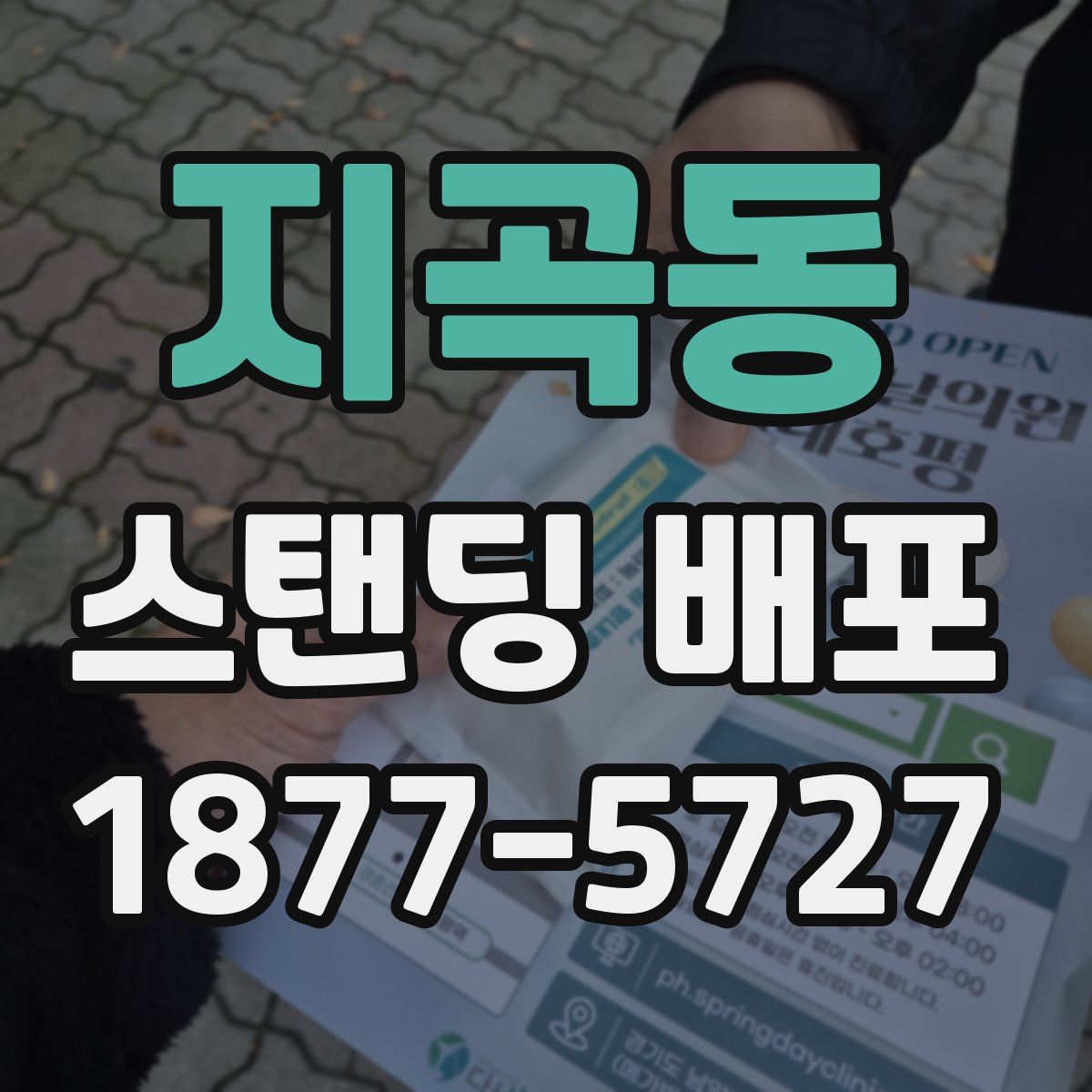 지곡동 스탠딩 배포