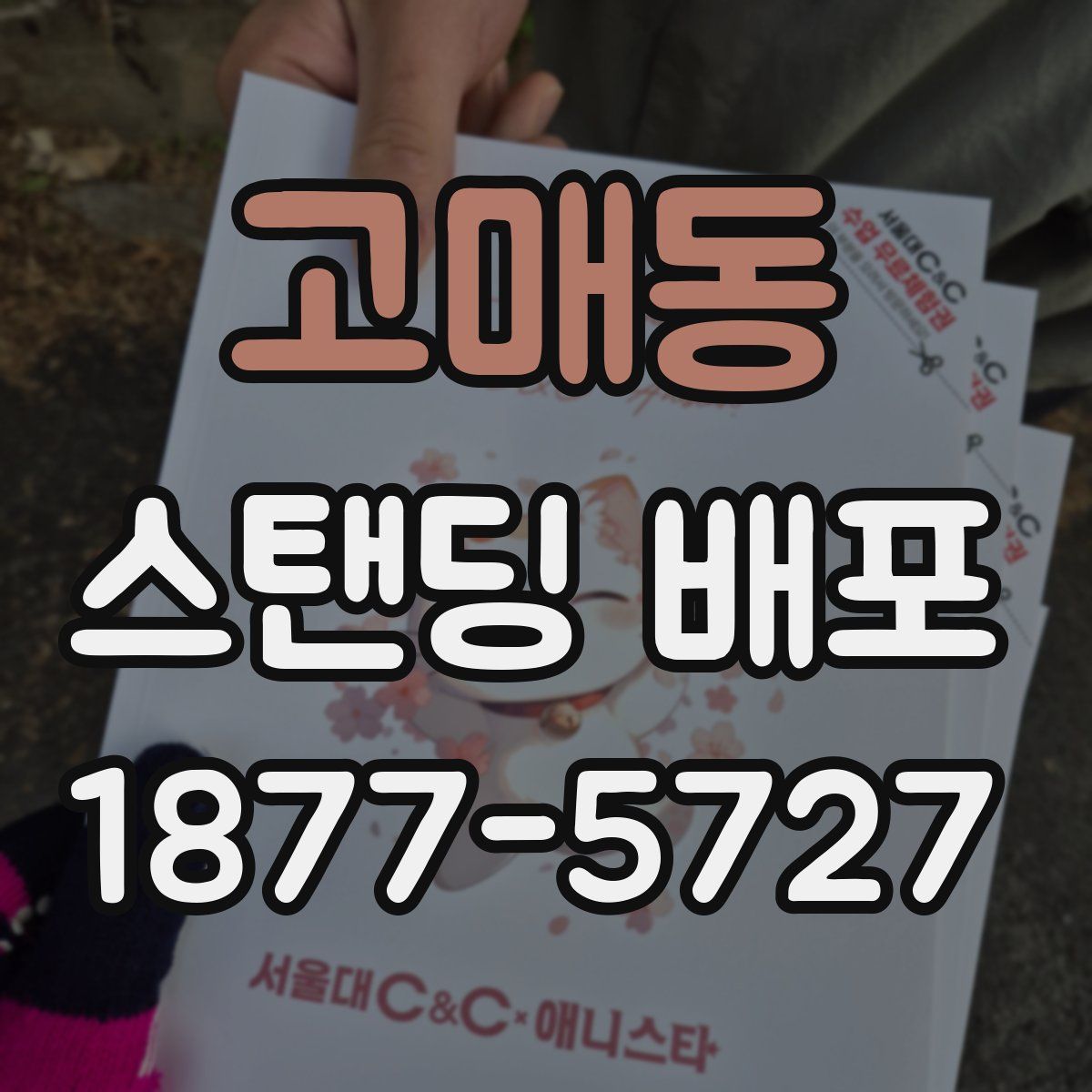 고매동 스탠딩 배포