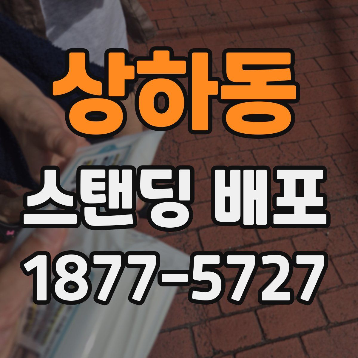 상하동 스탠딩 배포