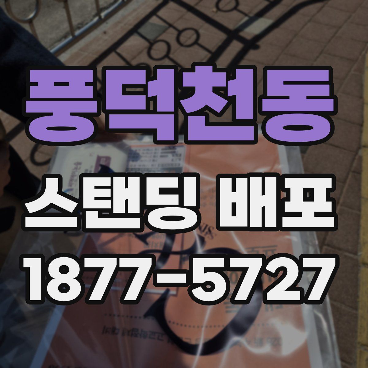 풍덕천동 스탠딩 배포