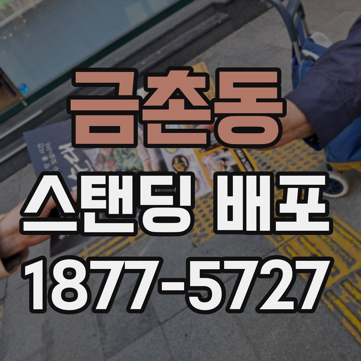 금촌동 스탠딩 배포