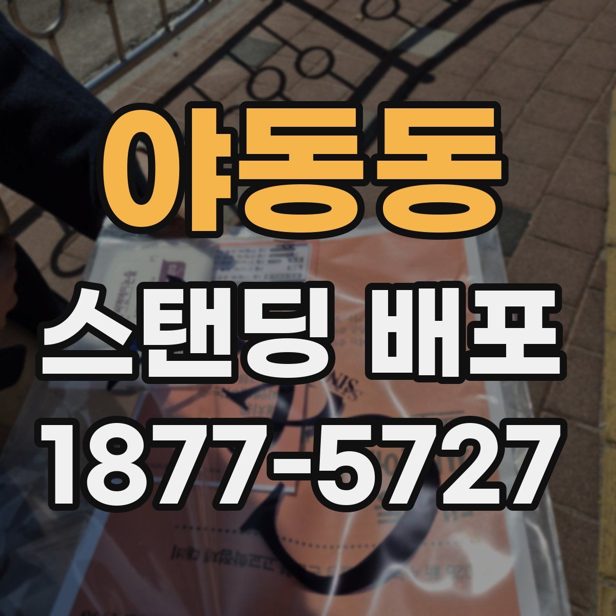 야동동 스탠딩 배포