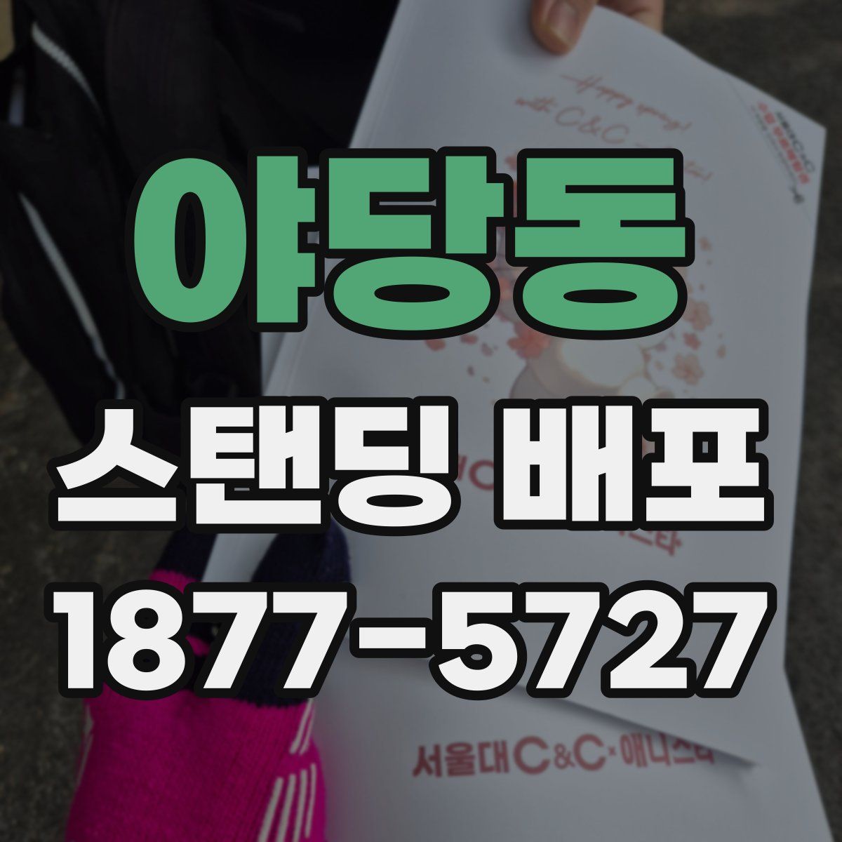 야당동 스탠딩 배포