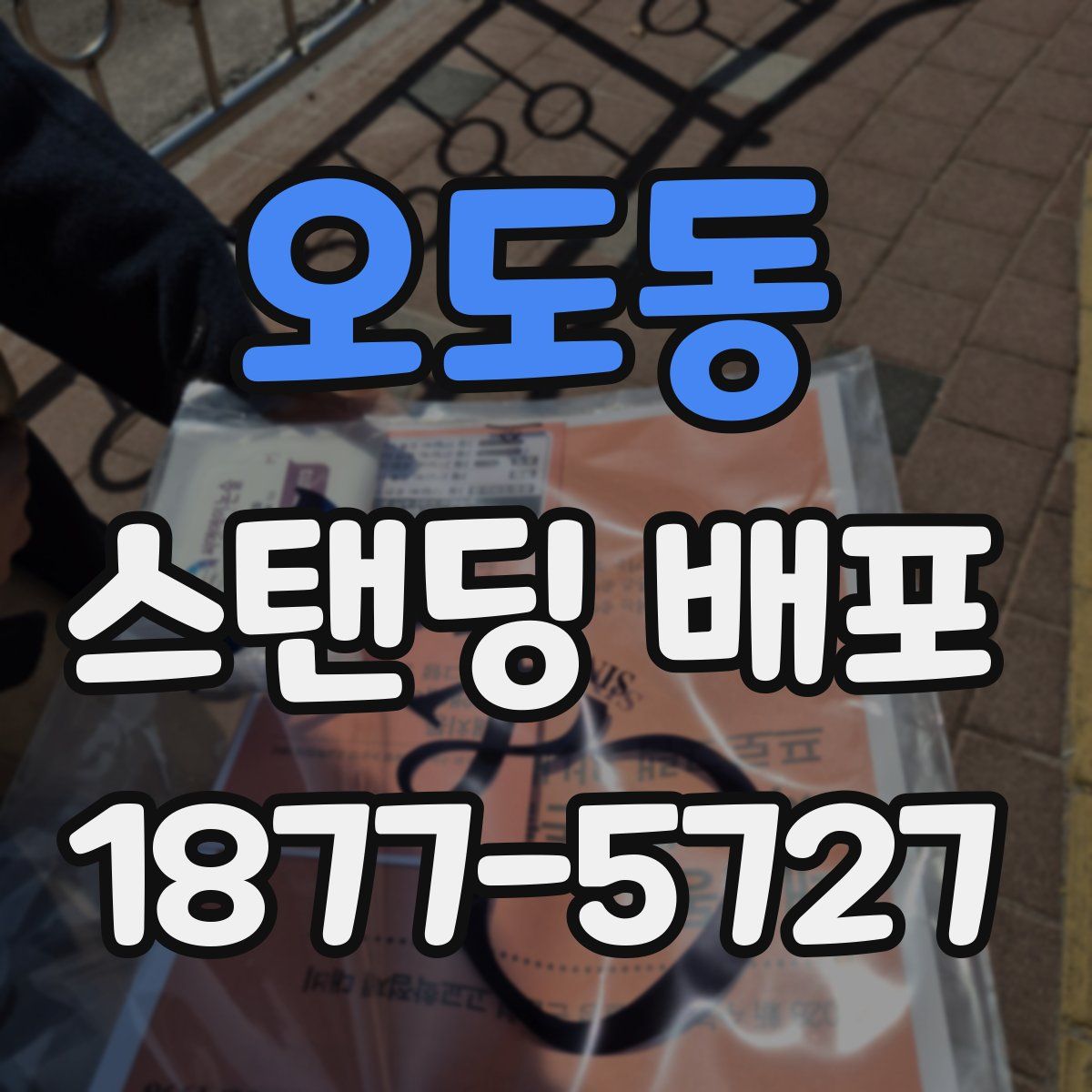 오도동 스탠딩 배포