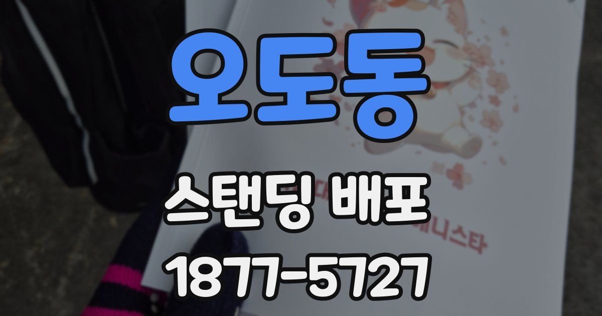 오도동 스탠딩 배포