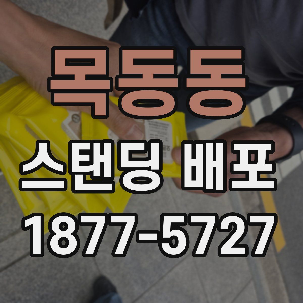 목동동 스탠딩 배포