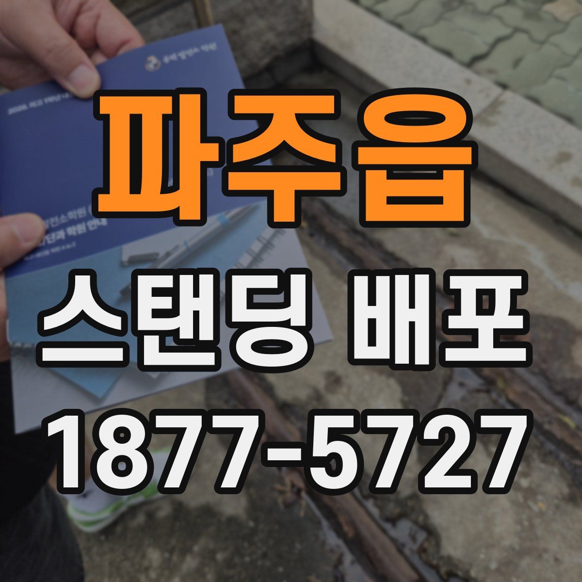 파주읍 스탠딩 배포