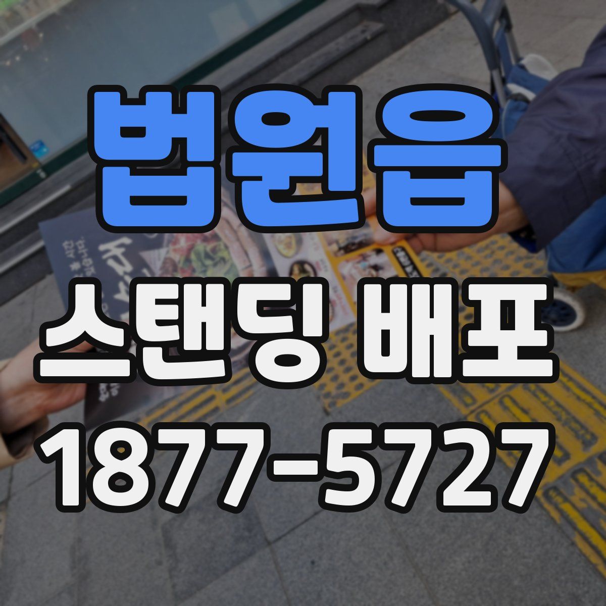 법원읍 스탠딩 배포