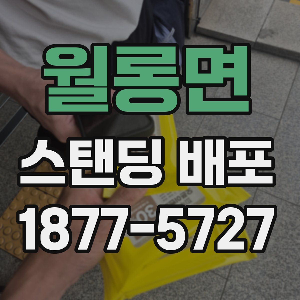 월롱면 스탠딩 배포
